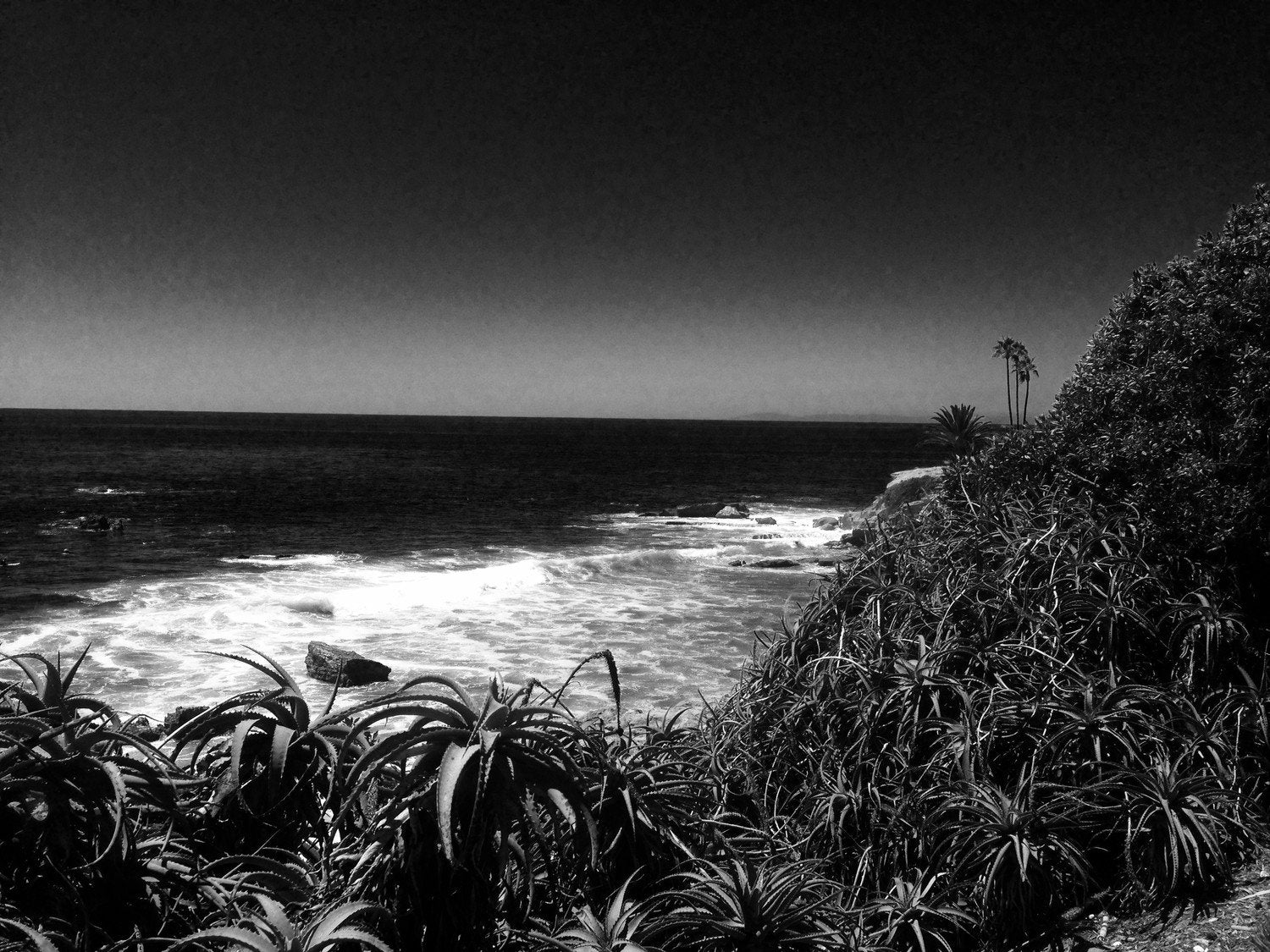 black and white ocean